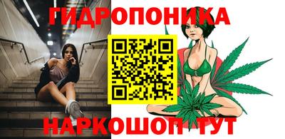 2c-b Пугачёв