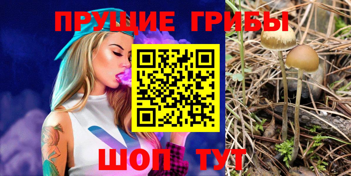 Псилоцибиновые грибы прущие грибы Севастополь